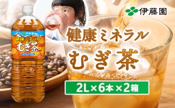 健康ミネラル麦茶2L×6本×2箱【500004】