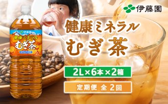 『定期便：全2回』健康ミネラルむぎ茶2L×6本×2箱【500016】