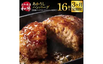 t209cdm　創業50年老舗レストランの幻の和牛あかうしハンバーグ 130g×16ケ 特製デミソース&特製トマトソース×4袋 3ヶ月定期便 土佐あかうし 美鮮豚 牛肉 デミグラス ハンバーグ 小分け 冷凍 美味しい 