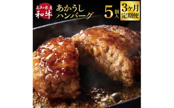 t211cdm　創業50年老舗レストランの幻の和牛あかうしハンバーグ130g×5ケ 3ヶ月定期便 土佐あかうし 美鮮豚 牛肉 高級 ハンバーグ 冷凍 美味しい 肉汁ハンバーグ 焼くだけ 小分け 個包装 高級 国産 定期便 定期コース 