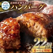 t216cdm 創業50年老舗レストランの幻の和牛あかうしハンバーグ120g×22ケ 6ヶ月定期便 土佐あかうし 美鮮豚 牛肉 高級 ハンバーグ 冷凍 美味しい 肉汁ハンバーグ 焼くだけ 小分け 個包装 高級 国産 定期便