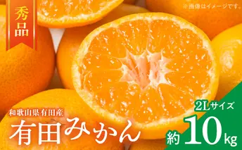 ZD7016_【秀品】 和歌山 有田みかん 10kg (2Lサイズ・秀品）