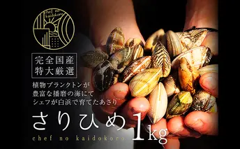 【2026年２月上旬出荷予定】さりひめ】姫路産養殖活あさり 特大1kg 貝類 贈答品 ギフト シェフ 身入り 甘い 加熱 白浜 
