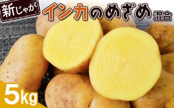 【新じゃが】インカのめざめ混合5ｋｇ【830009】