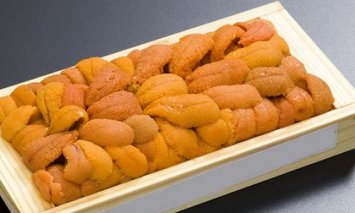 北海道 網走産 エゾバフンウニ 100g 1折【ふるさと納税】14012-30031591