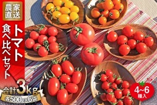 新鮮 採れたて トマト 食べ比べセット 3kg（500g×6袋）/ マルヨシ園芸 / 山梨県 中央市