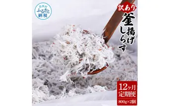 t205mmk　〈12ヶ月定期便〉訳あり 釜揚げシラス 800g×2個 定期便 定期コース 12ヶ月 しらす シラス 釜揚げ 新鮮 塩分控えめ 離乳食 わけあり ワケあり 不揃い しらす丼 海鮮丼 お茶漬け