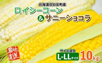 【 2025年 発送 】 先行予約 北海道産 とうもろこし ロイシーコーン サニーショコラ 計18～20本 10kg前後 L-LLサイズ 旬 スイート コーントウモロコシ とうきび 新鮮 農作物 野菜 産地直送