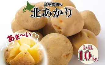 【 2025年 発送 】 先行予約 北海道産 道塚農園 じゃがいも 北あかり 計10kg前後 L-LLサイズ ジャガイモ きたあかり キタアカリ 馬鈴薯 芋 いも イモ 農作物 野菜 産地直送