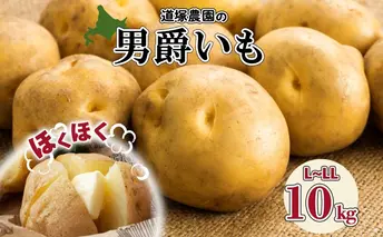 【 2025年 発送 】 先行予約 北海道産 道塚農園 じゃがいも 男爵 計10kg前後 L-LLサイズ ジャガイモ 男爵いも 男爵芋 だんしゃく 馬鈴薯 芋 いも イモ 農作物 野菜 産地直送