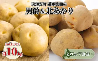 北海道産 道塚農園 じゃがいも 食べ比べ 2種セット 男爵 北あかり 計10kg前後 L-LLサイズ ジャガイモ きたあかり農作物 お取り寄せ【じゃがいも・野菜・芋】 