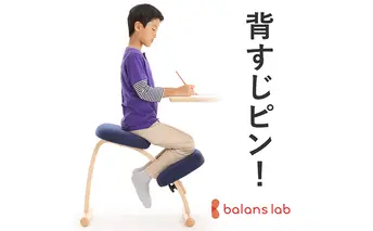 椅子 バランスイージー カバーなし ショートライトグリーン 姿勢矯正 インテリア 家具