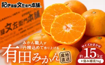 V7440_有田みかん 約15kg(+傷み補填分1kg)=合計16kg【サイズおまかせ】 / 産地直送 / 紀伊国屋文左衛門本舗（お届け日指定不可）
