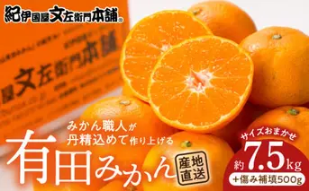 V7441_有田みかん約7.5kg(+傷み補填分500g)=合計8kg【サイズおまかせ】 / 産地直送 / 紀伊国屋文左衛門本舗（お届け日指定不可）