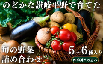 のどかな讃岐平野で育てた 旬の野菜 詰め合わせセット 今が旬 健康 野菜ボックス ヘルシー食材 トマト サツマイモ 新鮮 とれたて 季節 自家栽培 珍しい 美味しい たっぷり