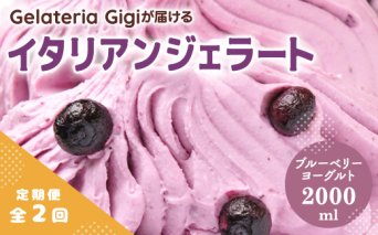 【定期便：全2回】ジェラテリアGigiのイタリアンジェラート『ブルーベリーヨーグルト』2000ml【43005701】