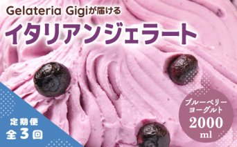 【定期便：全3回】ジェラテリアGigiのイタリアンジェラート『ブルーベリーヨーグルト』2000ml【43005801】