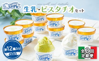 【定期便：全2回】Gigiの生乳イタリアンジェラート6個イタリア産ピスタチオ6個セット(計12個入り)【430065】