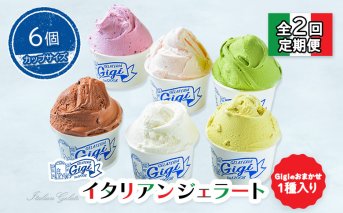 【定期便：全2回】ジェラテリアGigiのイタリアンジェラート６種(Gigiのおまかせ1種入り）【カップサイズ6個】 (牛乳、ピスタチオ、抹茶、チョコレート、ブルーベリーヨーグルト、Gelateria Gigiが選ぶおまかせジェラート)【430067】