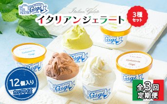 【定期便：全3回】ジェラテリアGigiのイタリアンジェラート3種セット【カップサイズ12個】 牛乳4、ピスタチオ4、チョコレート4【430074】