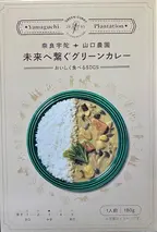 未来へ繋ぐグリーンカレー １０個 ／ ふるさと納税 山口農園 有機野菜 オーガニック 伝統野菜 レトルト 詰め合わせ カレー ギフト カレーセット スパイス 飯 キャンプお取り寄せ 奈良県 宇陀市  