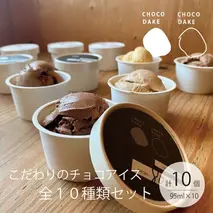 チョコレート専門店 こだわりの 濃厚チョコレート アイスクリーム 10種類 詰合せ 各95ml×10個 ギフト カップアイス チョコレート チョコアイス ショコラ 濃厚 スイーツ 内祝 お菓子 スイーツセット デザート ひんやりスイーツ 