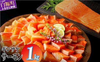 ギンサケサーモン【1kg】 小分け 下処理不要 絶品の「塩締め」レシピ ふるさと納税 海鮮 サーモン 鮭 魚 銀鮭 刺身 生食用 さけ サケ ふるさと ランキング 人気 魚介類 魚介 北海道 白糠町 _T011-0905-2509