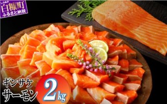 ギンサケサーモン【2kg】 小分け 下処理不要 絶品の「塩締め」レシピ ふるさと納税 海鮮 サーモン 鮭 魚 銀鮭 刺身 生食用 さけ サケ ふるさと ランキング 人気 魚介類 魚介 北海道 白糠町 _T021-1105-2509