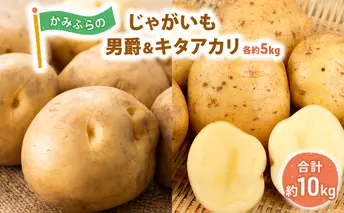 かみふらのじゃがいも「男爵5kg & キタアカリ5kg」 野菜 旬の野菜 北海道産 北海道野菜 国産 国産野菜 グルメ 食材 ポテト 北海道産じゃがいも