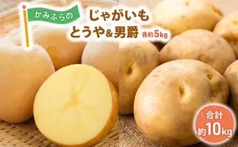 かみふらのじゃがいも「とうや5kg & 男爵5kg」 野菜 旬の野菜 北海道産 北海道野菜 国産 国産野菜 グルメ 食材 ポテト 北海道産じゃがいも