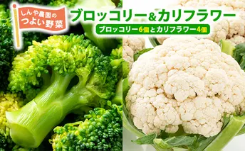 しんや農園の 野菜「ブロッコリー6個 & カリフラワー4個」 旬の野菜 北海道産 北海道野菜 国産 国産野菜 グルメ 食材 新鮮 新鮮野菜