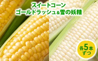 スイートコーン「ゴールドラッシュ5本 & 雪の妖精5本」 野菜 旬の野菜 北海道産 北海道野菜 国産 国産野菜 グルメ 食材 とうもろこし 