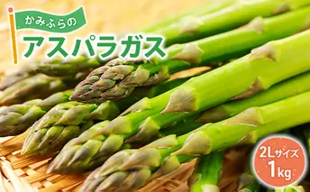 【令和8年産】かみふらのアスパラガス 2Lサイズ 1kg 野菜 旬の野菜 北海道産 北海道野菜 国産 国産野菜 グルメ 食材 グリーンアスパラガス 