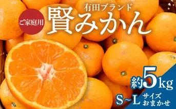 ZD92062_【家庭用】有田ブランド 賢みかん 10kg（S～Lサイズおまかせ）