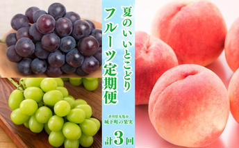【全3回】フルーツ定期便「丸亀市夏のいいとこどり定期便」～少人数でも楽しみやすい食べきり版～/シャインマスカット 桃 ピオーネ 定期配送 頒布会 果実 果物