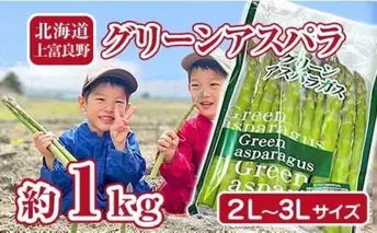 【2025年分先行予約】アスパラ 専門農家の特選グリーンアスパラ 1kg（2L～3L）アスパラガス 原農園 あすぱら 野菜 北海道 上富良野町 令和6年発送 