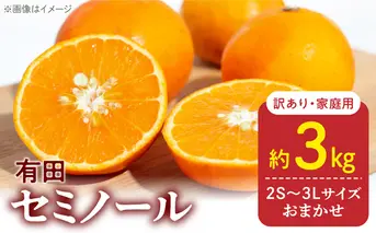 DZ6224_【2026年先行予約】訳あり 家庭用 きよみ 清美オレンジ 和歌山 有田 2S～3Lサイズ混合 3kg