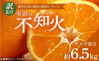 ZD6384n_【2026年先行予約】【濃厚】有田の不知火 (デコポン) 【訳あり 家庭用】 6.5kg (サイズ混合)