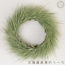富良野 花七曜 北海道産麦のリース◆ ドライフラワーリース