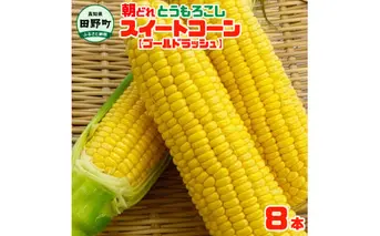 【四国一小さなまちのとうもろこし】★2025年6月上旬頃より発送開始予定★ とうもろこし スイートコーン ゴールドラッシュ 8本 数量限定 朝どれ 新鮮 甘い 野菜 産地直送 冷蔵 配送