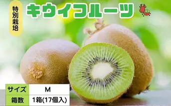 ＜12月以降順次発送＞プレミアム キウイ フルーツ Mサイズ 17個入 追熟処理済 ／ ふるさと納税 キウイ キウイフルーツ ギフト 栄養 果物 お土産 化学肥料不使用 特別栽培 塩 奈良県 宇陀市 やまとファームJAPAN