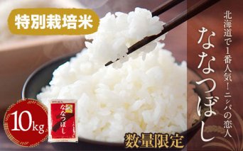 【令和7年産新米】北海道で１番人気！「ニシパの恋人」ななつぼし10kg（10kg×1） BRTH014
