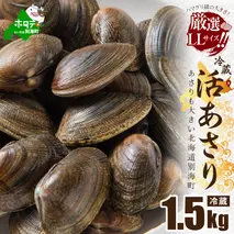 北海道 道東産 活アサリ中 1.5kg【SS0000019】