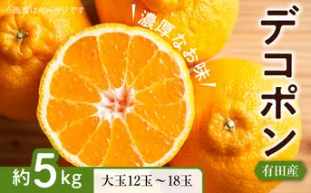 ZD7000_【お味濃厚】紀州有田産 の 大玉 デコポン 5kg (12玉～18玉入り・青秀以上)