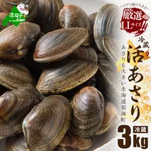 北海道 道東産 活アサリ中 3kg【SS0000020】
