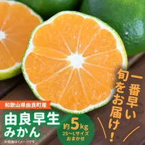 BB6041n_和歌山由良町産 由良早生みかん 約5kg (L～2Sサイズおまかせ)