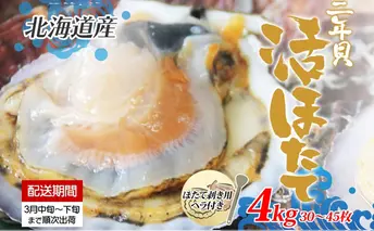 北海道産 活ほたて 2年貝 約 4kg 30枚~45枚 2026年3月中旬~3月下旬頃お届け 殻付き 貝付き 帆立 ホタテ ほたて 貝 魚介 海産 海鮮 貝柱 噴火湾 刺身 焼き フライ 生産者支援 産地直送 送料無料
