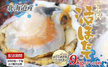 北海道産 活ほたて 2年貝 約 9kg 67枚~100枚 2026年3月中旬~3月下旬頃お届け 殻付き 貝付き 帆立 ホタテ ほたて 貝 魚介 海産 海鮮 貝柱 噴火湾 刺身 焼き フライ 生産者支援 産地直送 送料無料