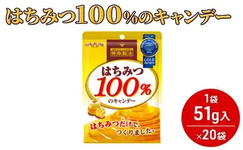 はちみつ100％のキャンデー [ 飴 キャンンデー 蜂蜜 のど飴 キャンディー 業務用 大容量 大量 ] 