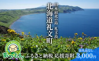 北海道礼文町 寄附のみの応援受付 3,000円コース（返礼品なし 寄附のみ 3000円） 